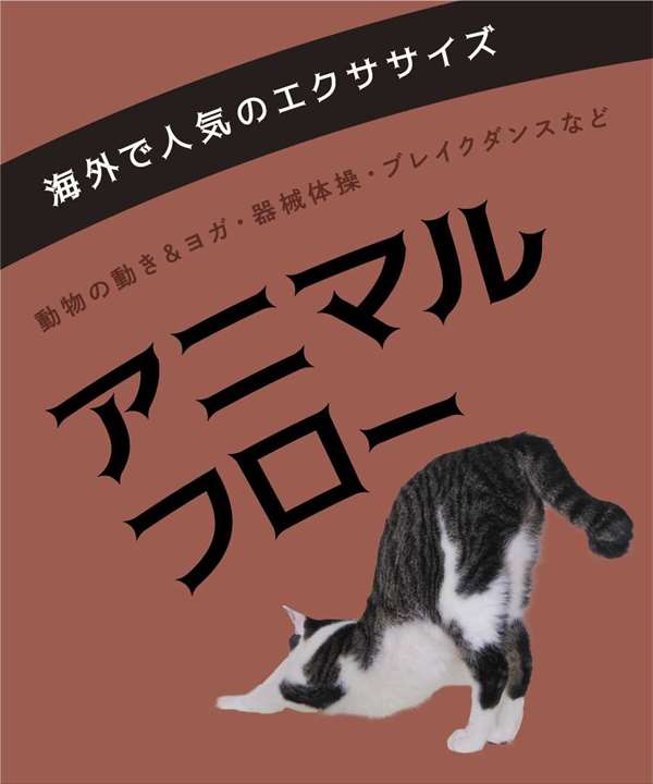 アニマルフロー