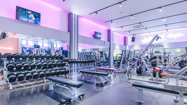 ランニングマシンやベンチプレスマシンなど通常のジムエリア写真